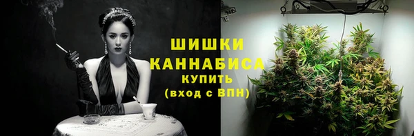 шишки Балабаново