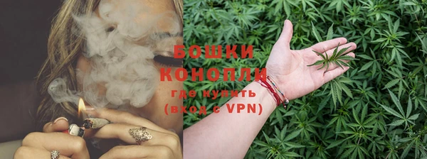 шишки Балабаново