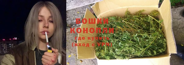 шишки Балабаново